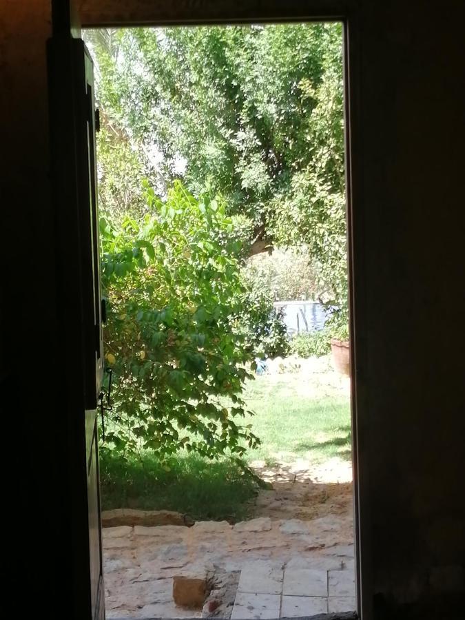 Studio In Byoum By Qaroun Lake In Fayoum Qaryat at Ta'mir as Siyahiyah Exterior photo